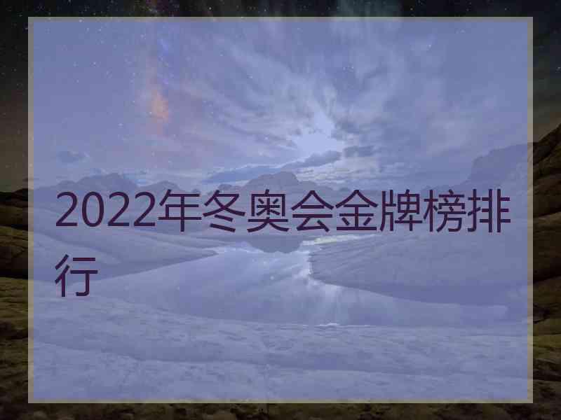 2022年冬奥会金牌榜排行