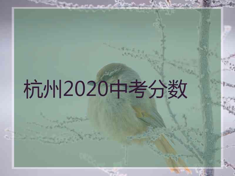 杭州2020中考分数