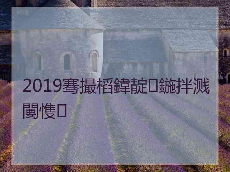 2019骞撮槄鍏靛鍦拌溅闄愯