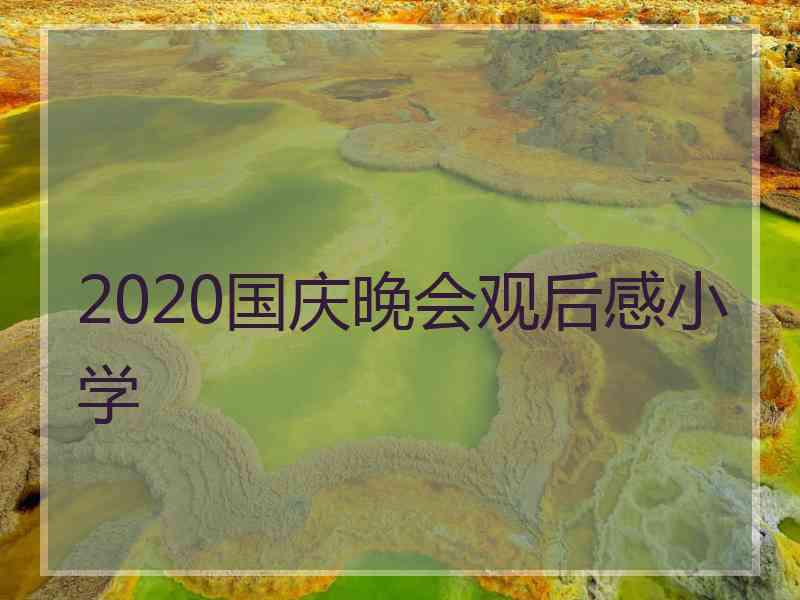 2020国庆晚会观后感小学