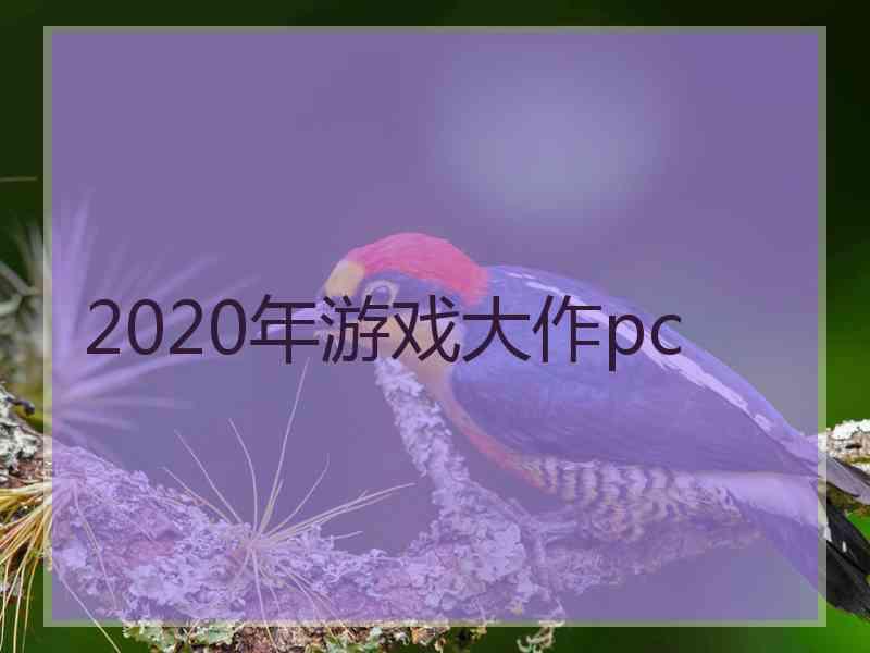 2020年游戏大作pc