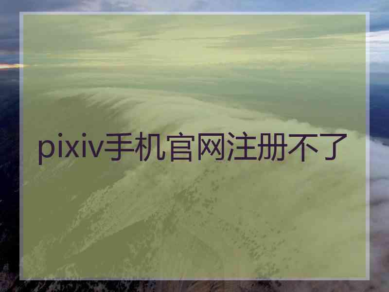 pixiv手机官网注册不了