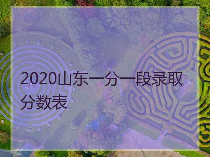 2020山东一分一段录取分数表