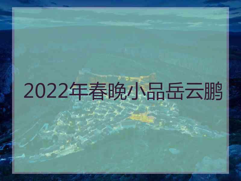 2022年春晚小品岳云鹏