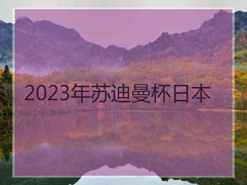 2023年苏迪曼杯日本