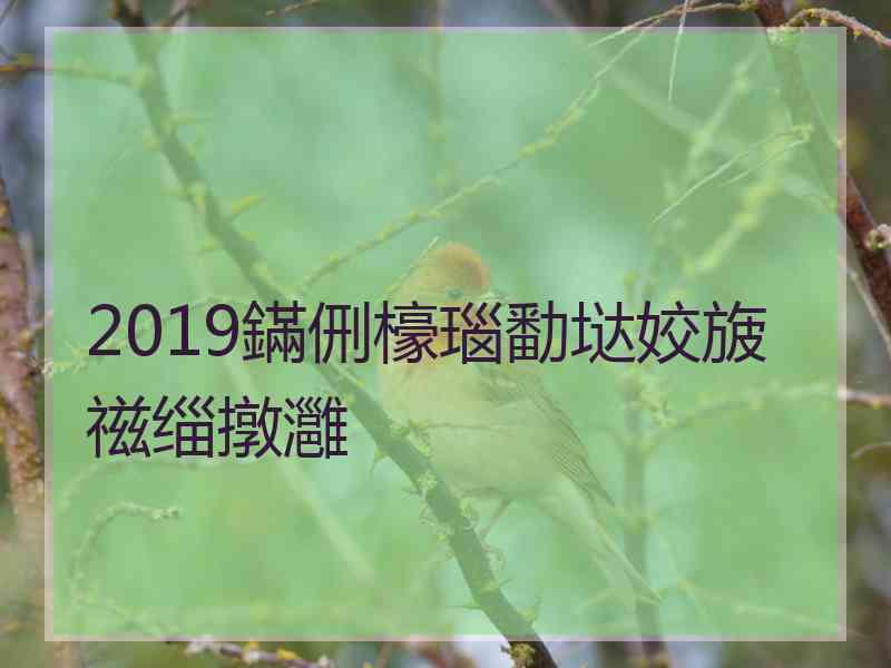 2019鏋侀檺瑙勫垯姣旇禌缁撴灉