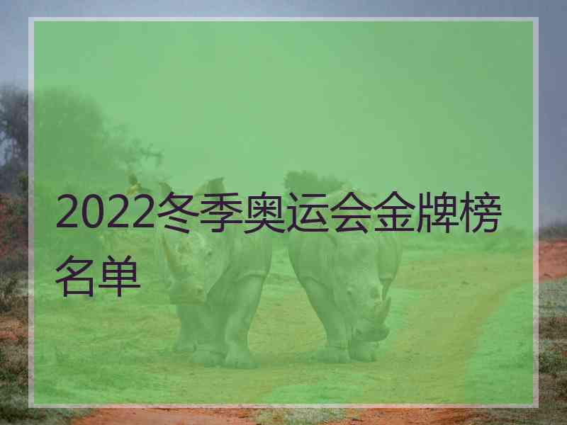 2022冬季奥运会金牌榜名单