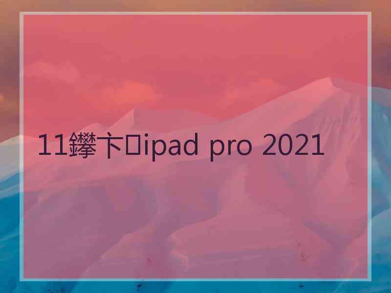 11鑻卞ipad pro 2021