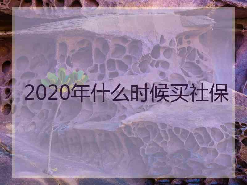 2020年什么时候买社保