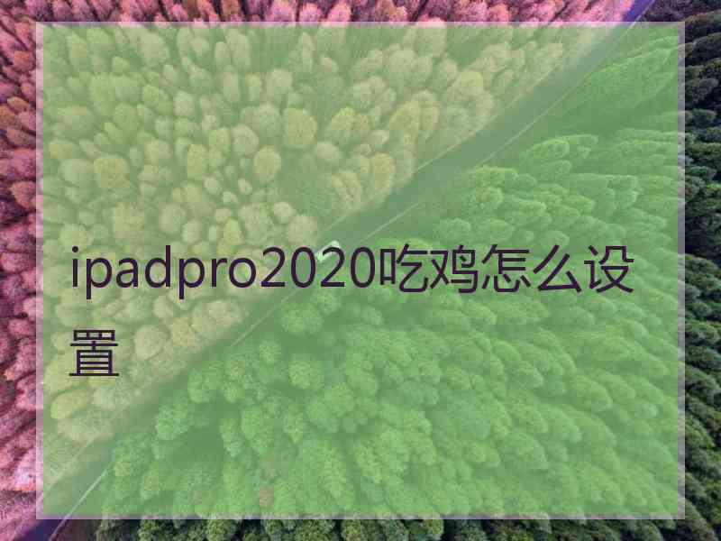 ipadpro2020吃鸡怎么设置