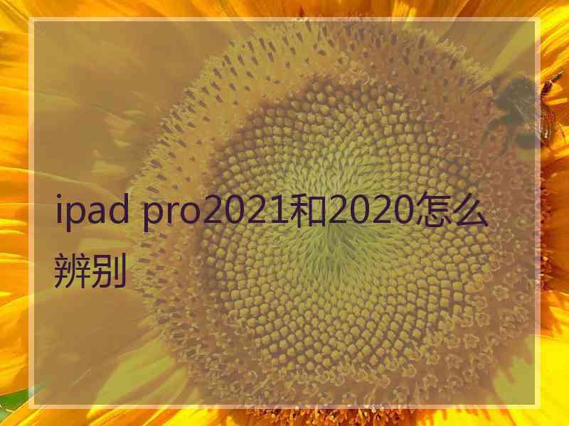 ipad pro2021和2020怎么辨别