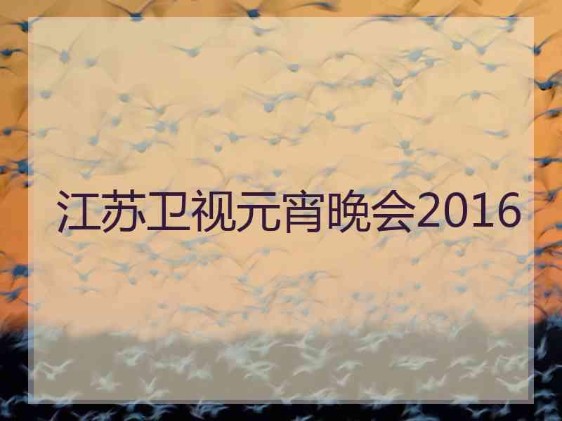 江苏卫视元宵晚会2016