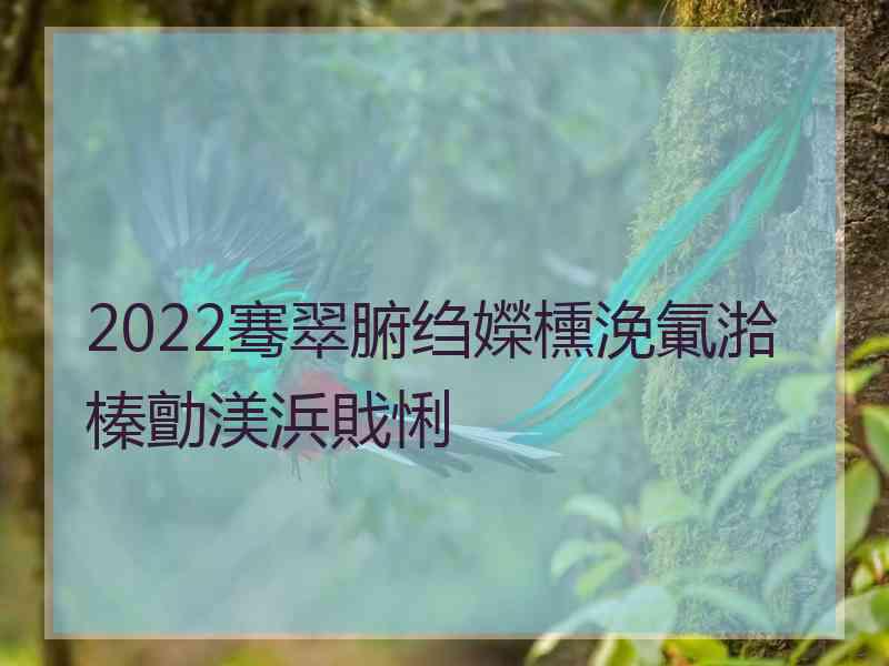 2022骞翠腑绉嬫櫄浼氭湁榛勯渼浜戝悧