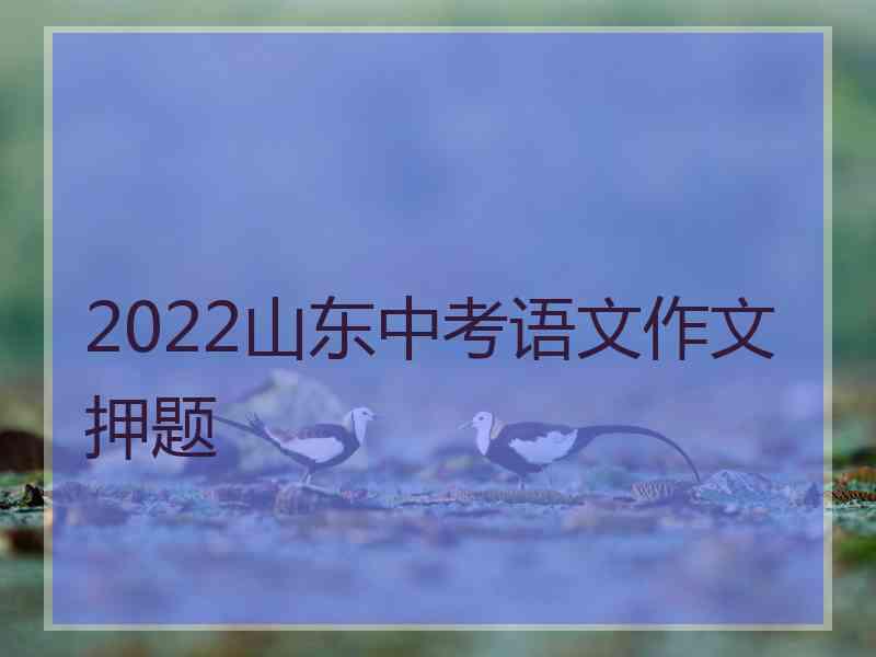 2022山东中考语文作文押题