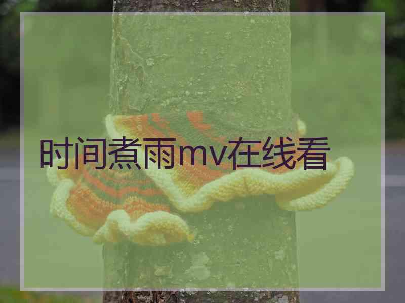 时间煮雨mv在线看