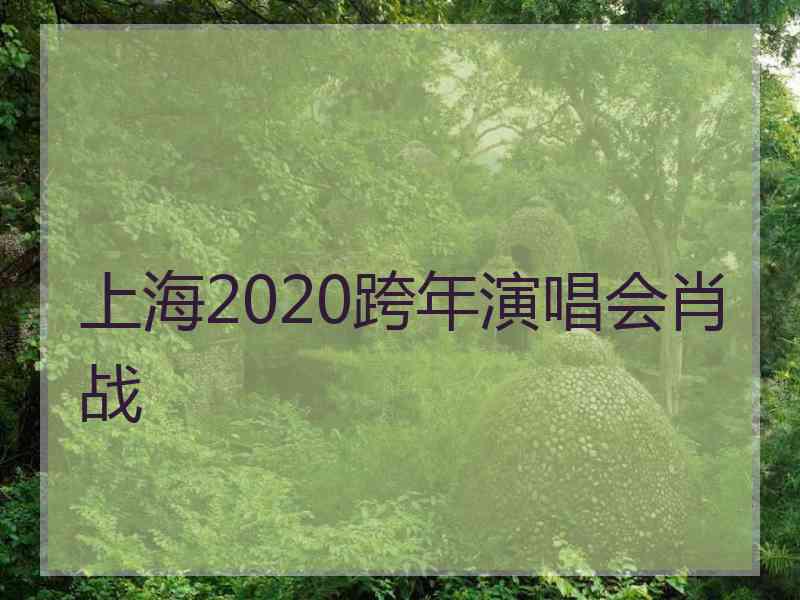 上海2020跨年演唱会肖战