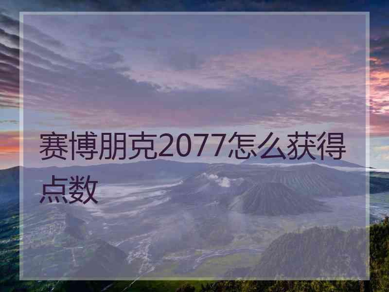 赛博朋克2077怎么获得点数