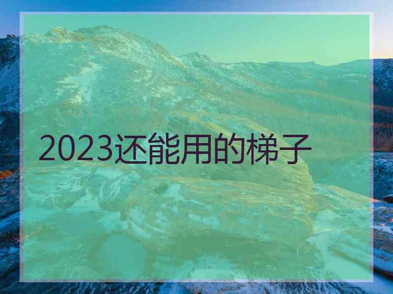 2023还能用的梯子