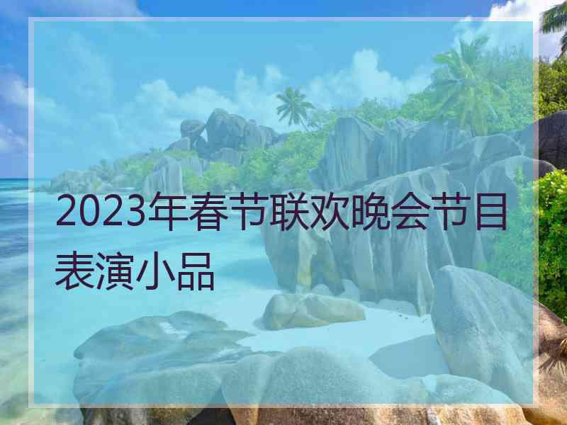 2023年春节联欢晚会节目表演小品