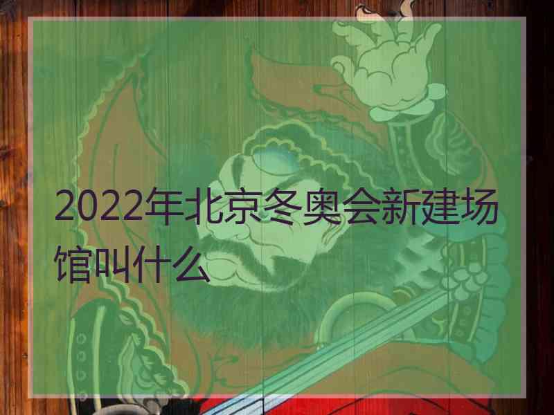 2022年北京冬奥会新建场馆叫什么