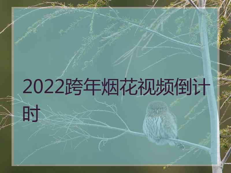 2022跨年烟花视频倒计时