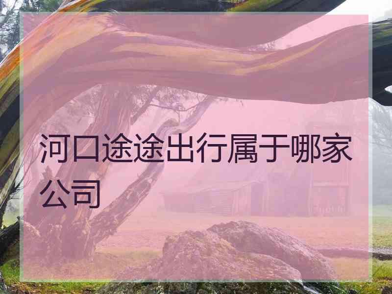 河口途途出行属于哪家公司