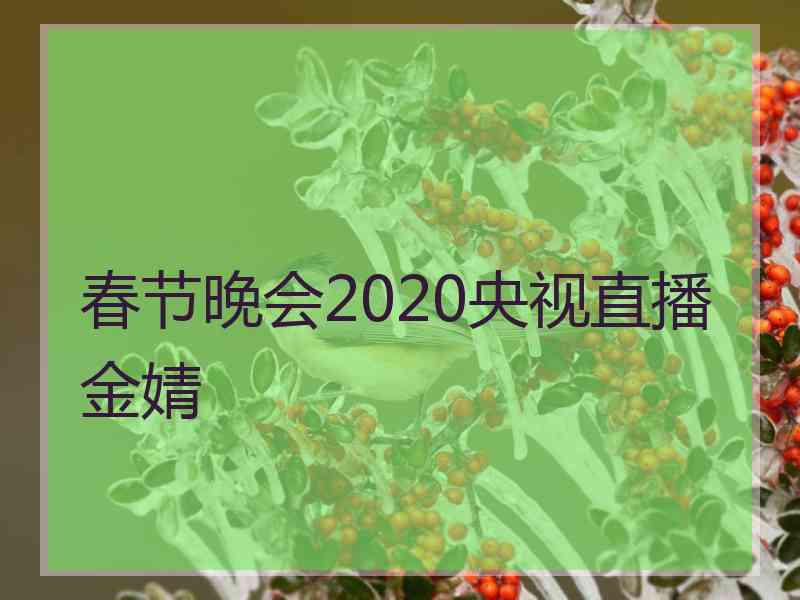 春节晚会2020央视直播金婧