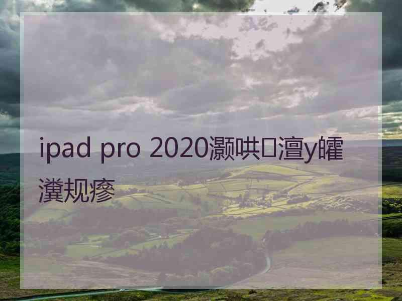 ipad pro 2020灏哄澶у皬瀵规瘮