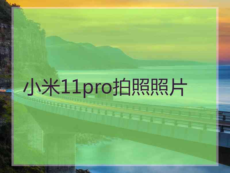 小米11pro拍照照片