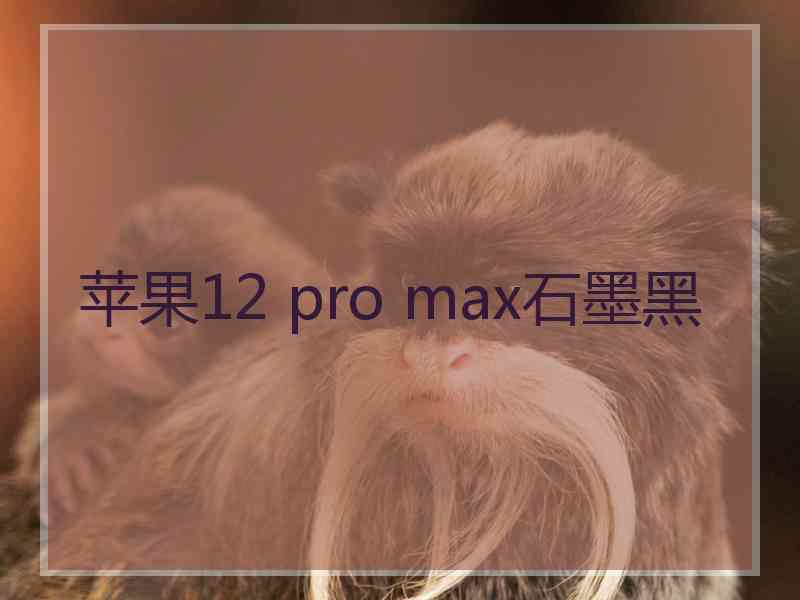 苹果12 pro max石墨黑