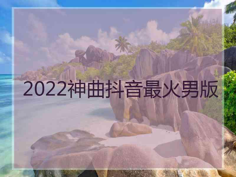 2022神曲抖音最火男版