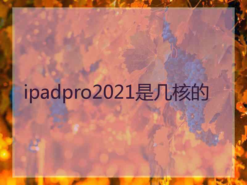 ipadpro2021是几核的