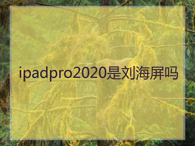 ipadpro2020是刘海屏吗