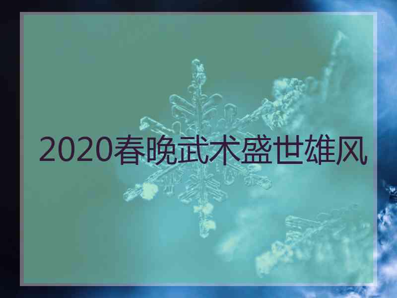 2020春晚武术盛世雄风