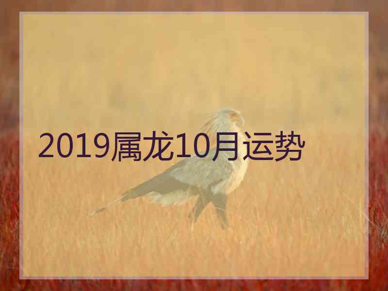 2019属龙10月运势