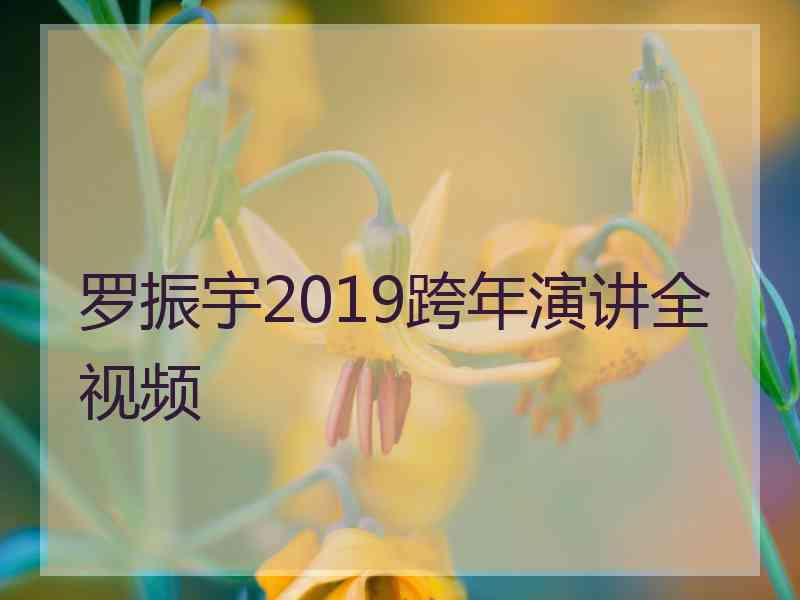 罗振宇2019跨年演讲全视频