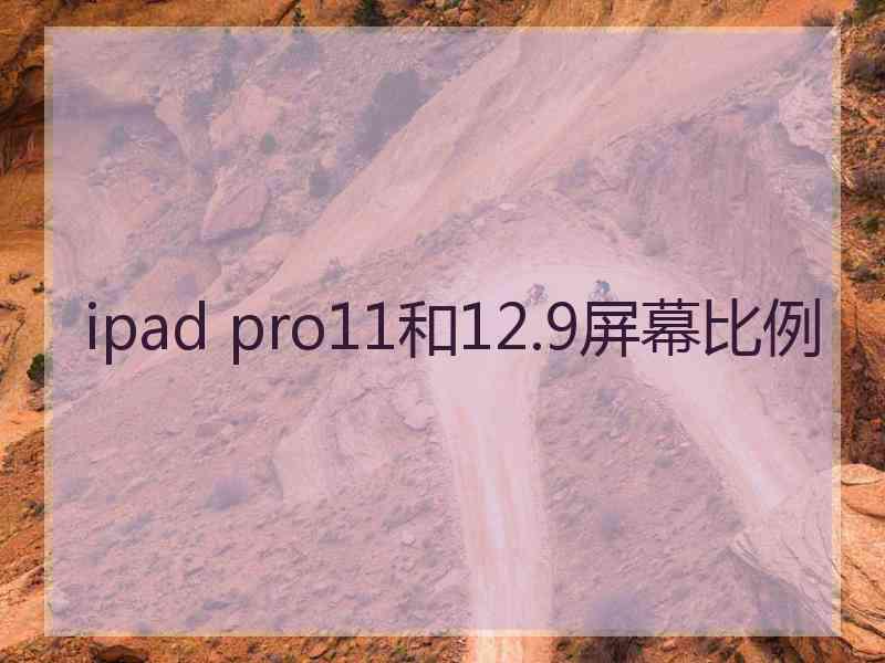 ipad pro11和12.9屏幕比例