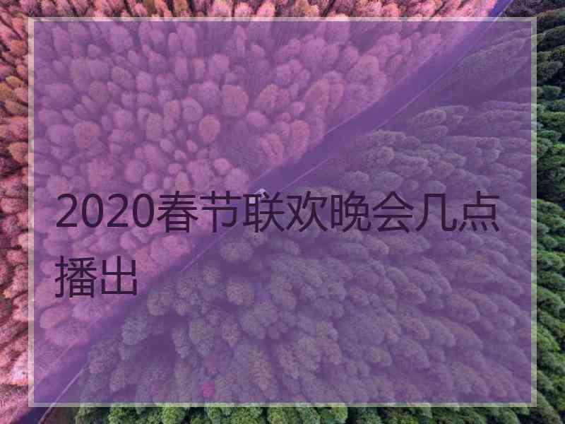 2020春节联欢晚会几点播出