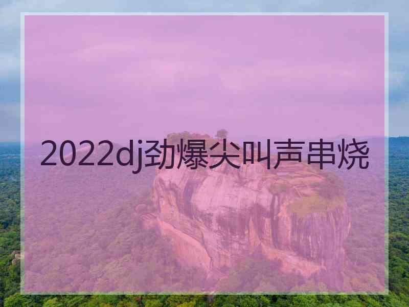 2022dj劲爆尖叫声串烧