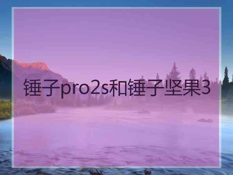 锤子pro2s和锤子坚果3