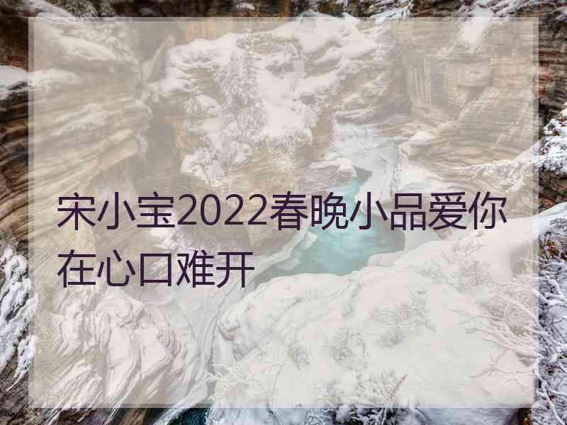 宋小宝2022春晚小品爱你在心口难开