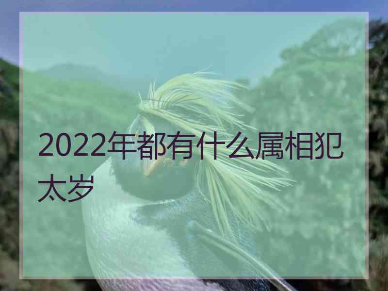 2022年都有什么属相犯太岁