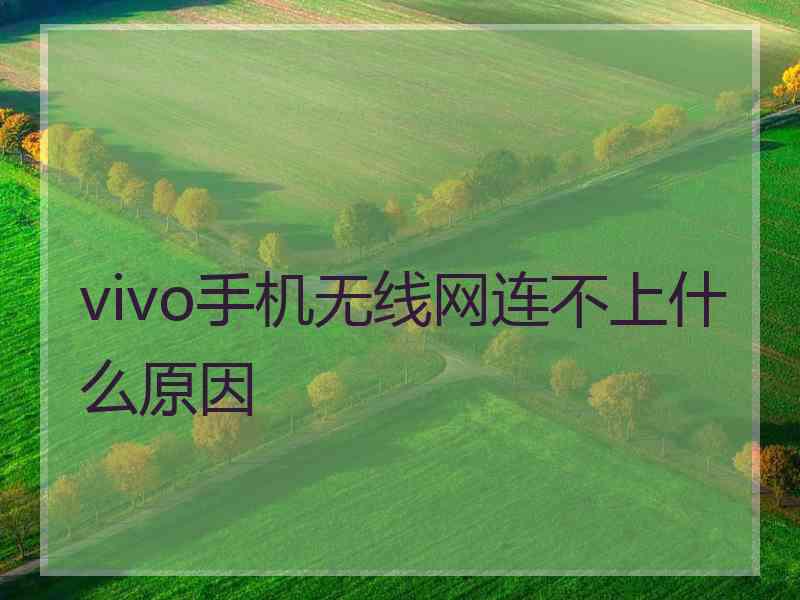 vivo手机无线网连不上什么原因