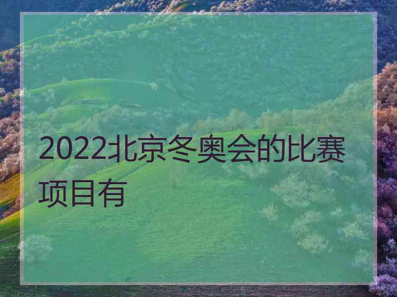 2022北京冬奥会的比赛项目有