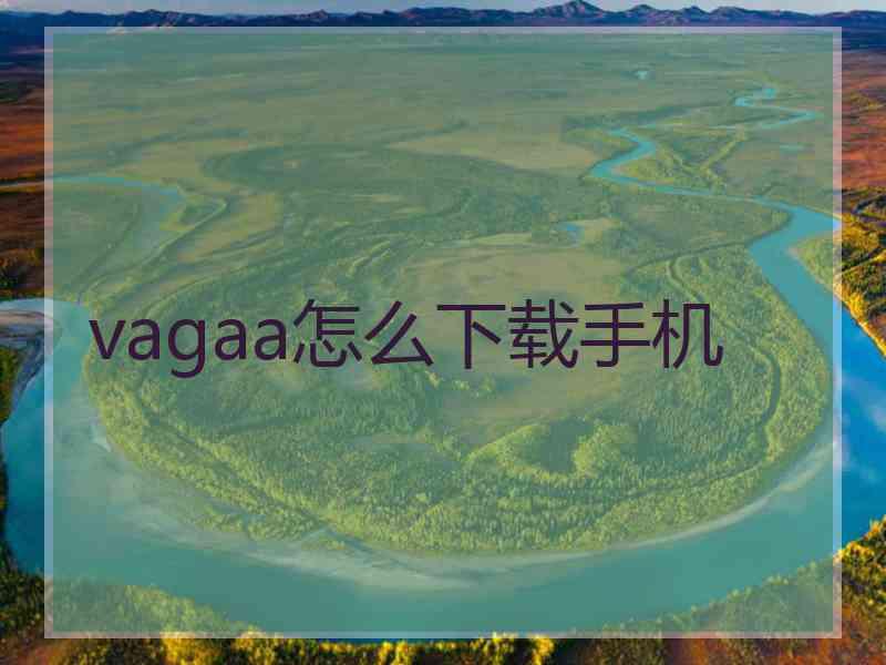 vagaa怎么下载手机