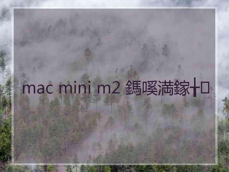 mac mini m2 鎷嗘満鎵╁