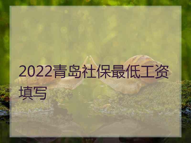 2022青岛社保最低工资填写