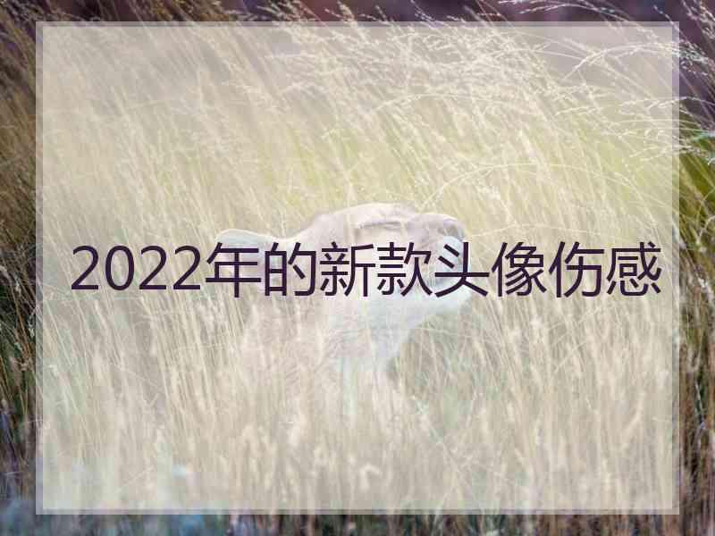 2022年的新款头像伤感