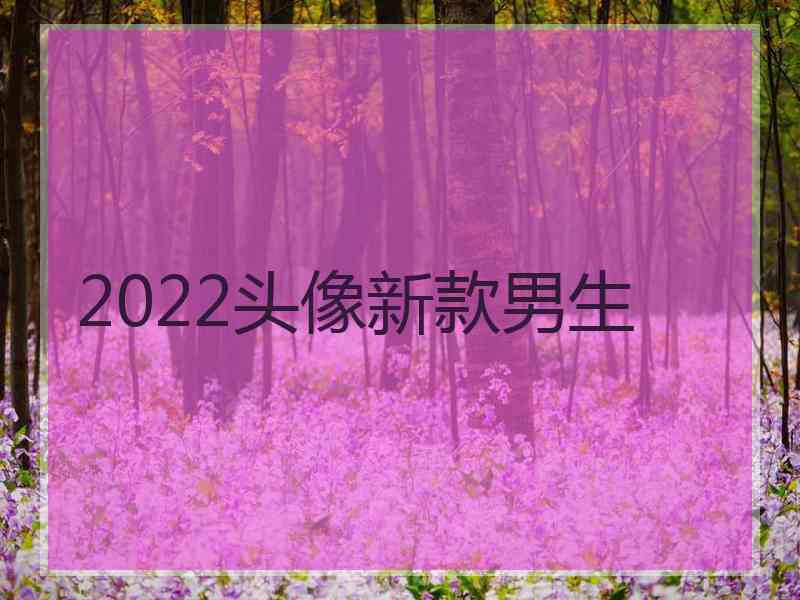 2022头像新款男生