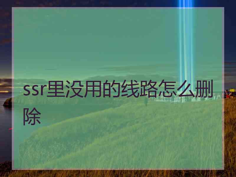 ssr里没用的线路怎么删除